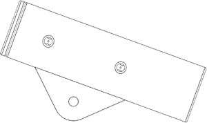 31